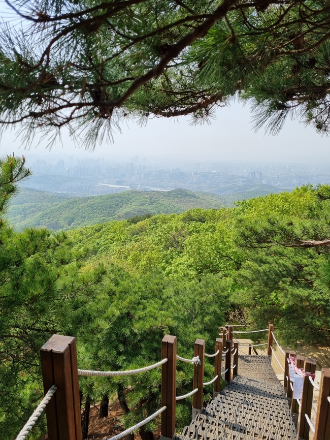 最牛“风投城市”传奇继续,又一芯片公司闯关科创板IPO来历